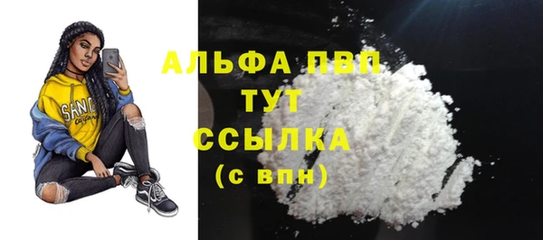 прущие грибы Арсеньев