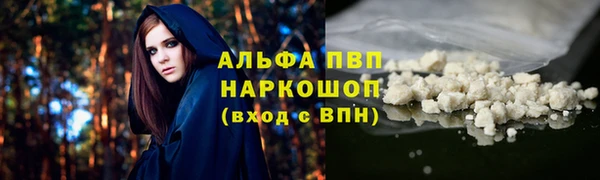 прущие грибы Арсеньев