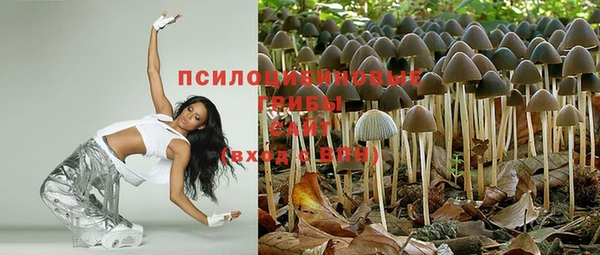 мет Аркадак
