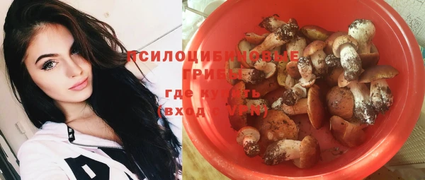 гидропоника Армянск