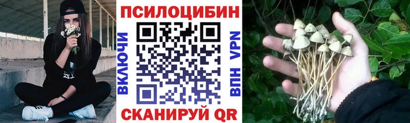 darknet состав Бабушкин Галлюциногенные грибы прущие грибы купить наркотик